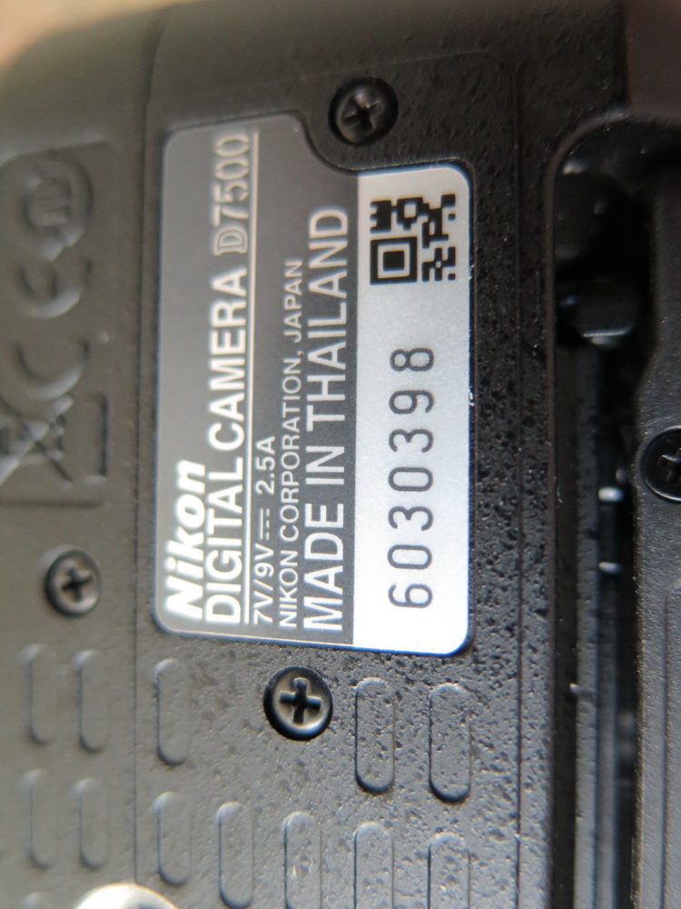 NIKON D7500 IMG_5884mm