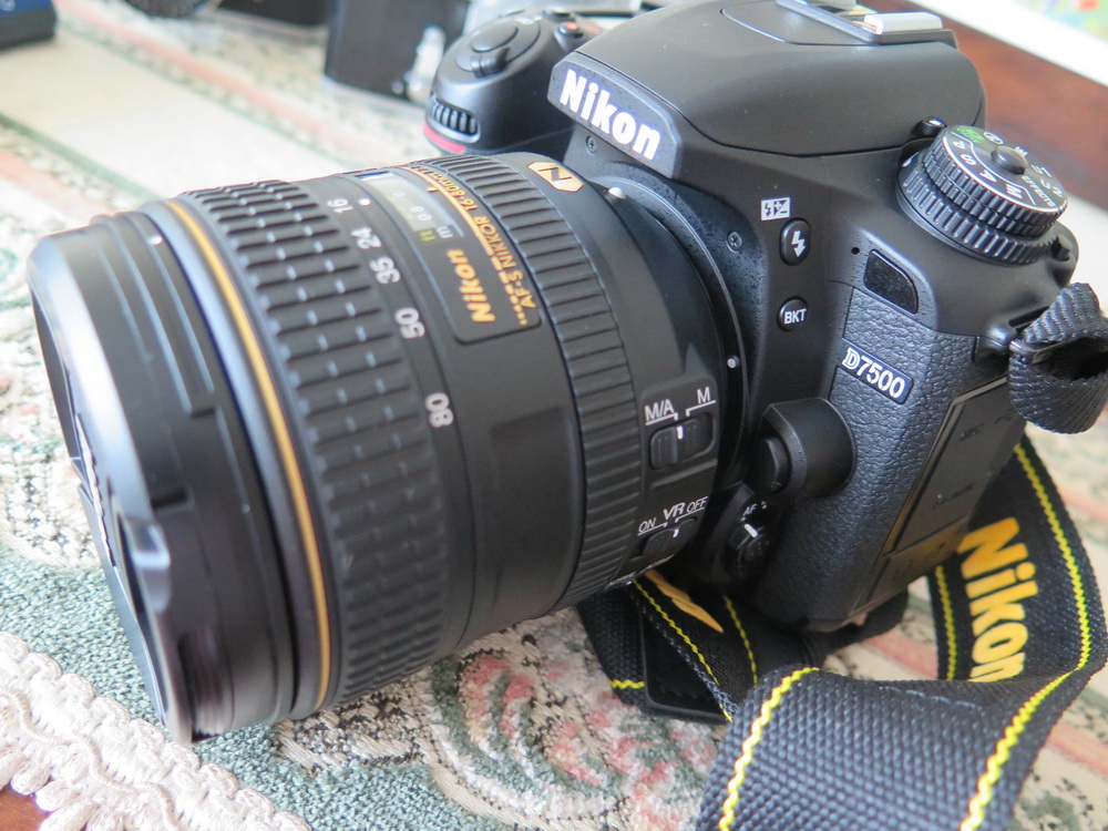 NIKON D7500 IMG_5886mm